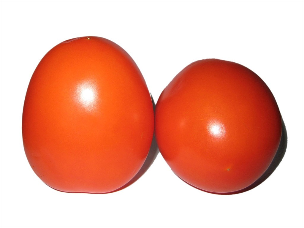 tomatoes vegetables red free photo