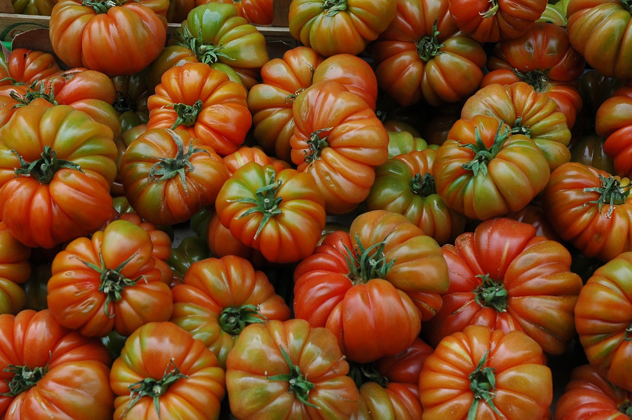 tomatoes organic fruit free photo
