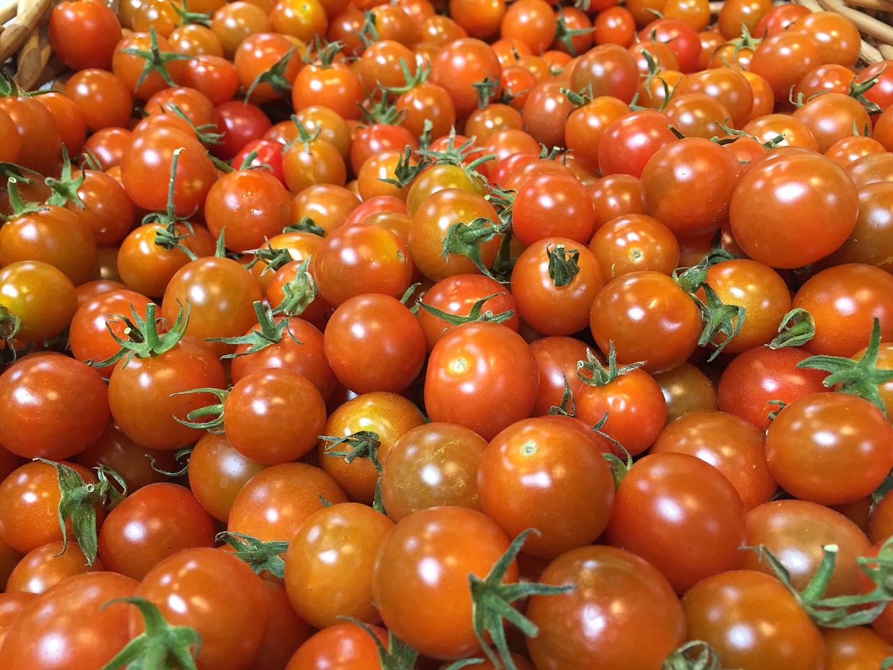 tomatoes cherry tomatoes organic free photo