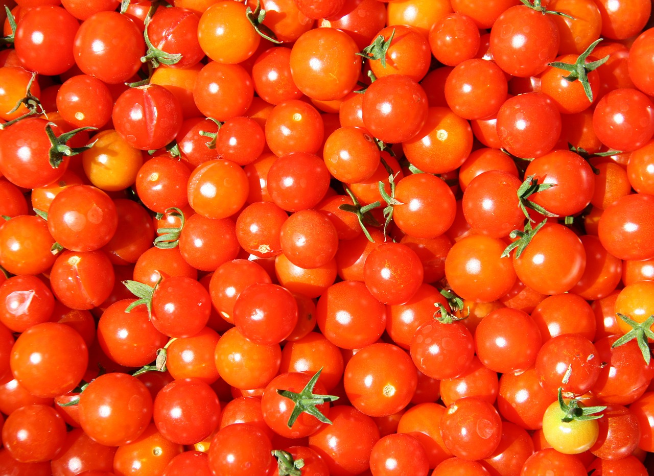 tomatoes cherry red tomato baby tomato free photo