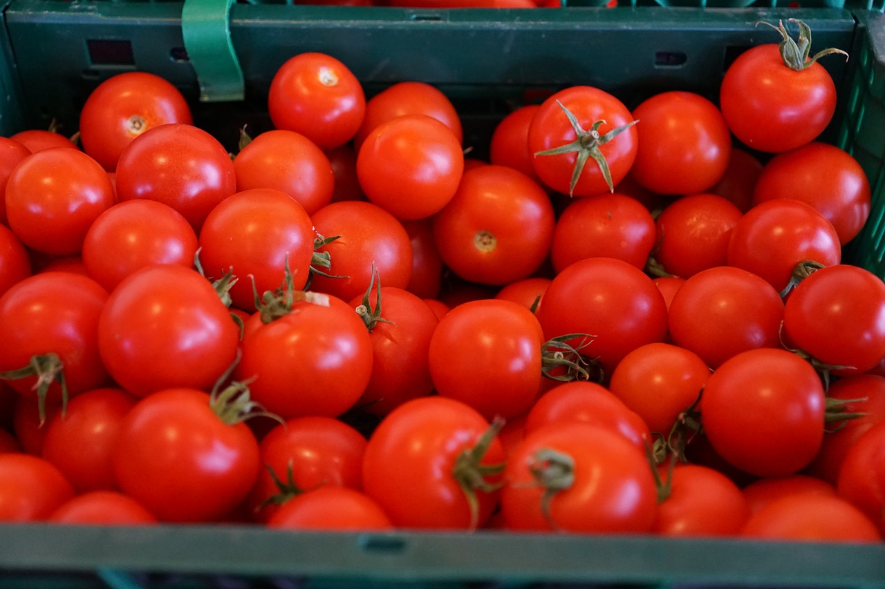 tomatoes healthy red free photo