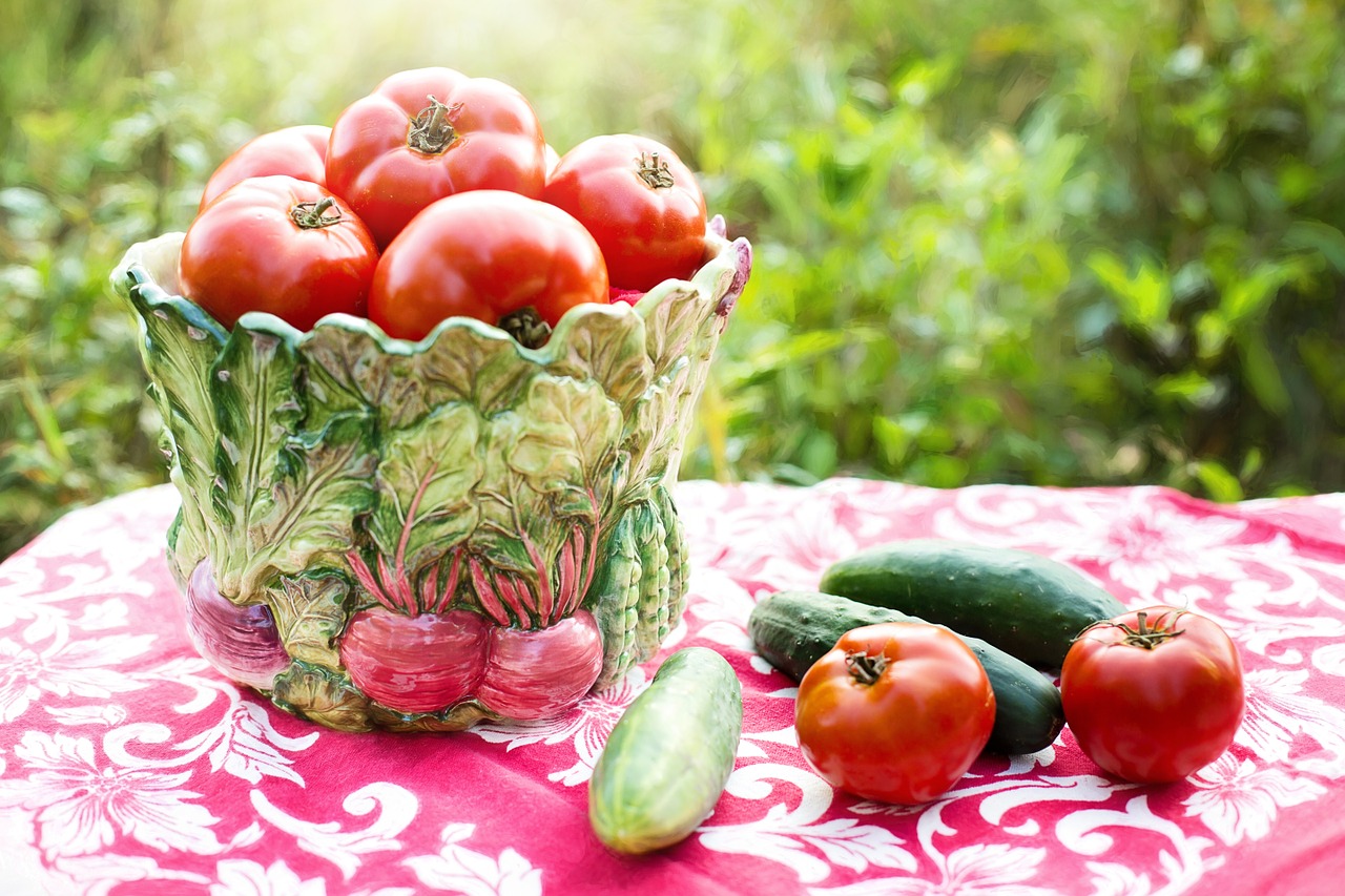 tomatoes harvest vegetable free photo