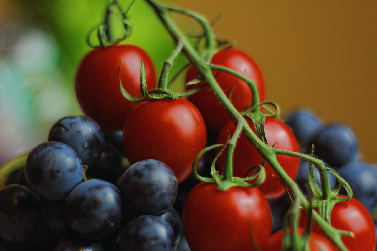 tomatoes blueberries grapes free photo