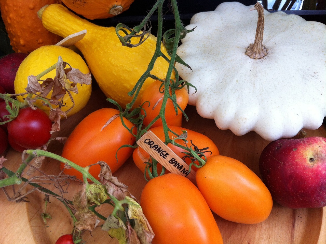 tomatoes pumpkins eat free photo