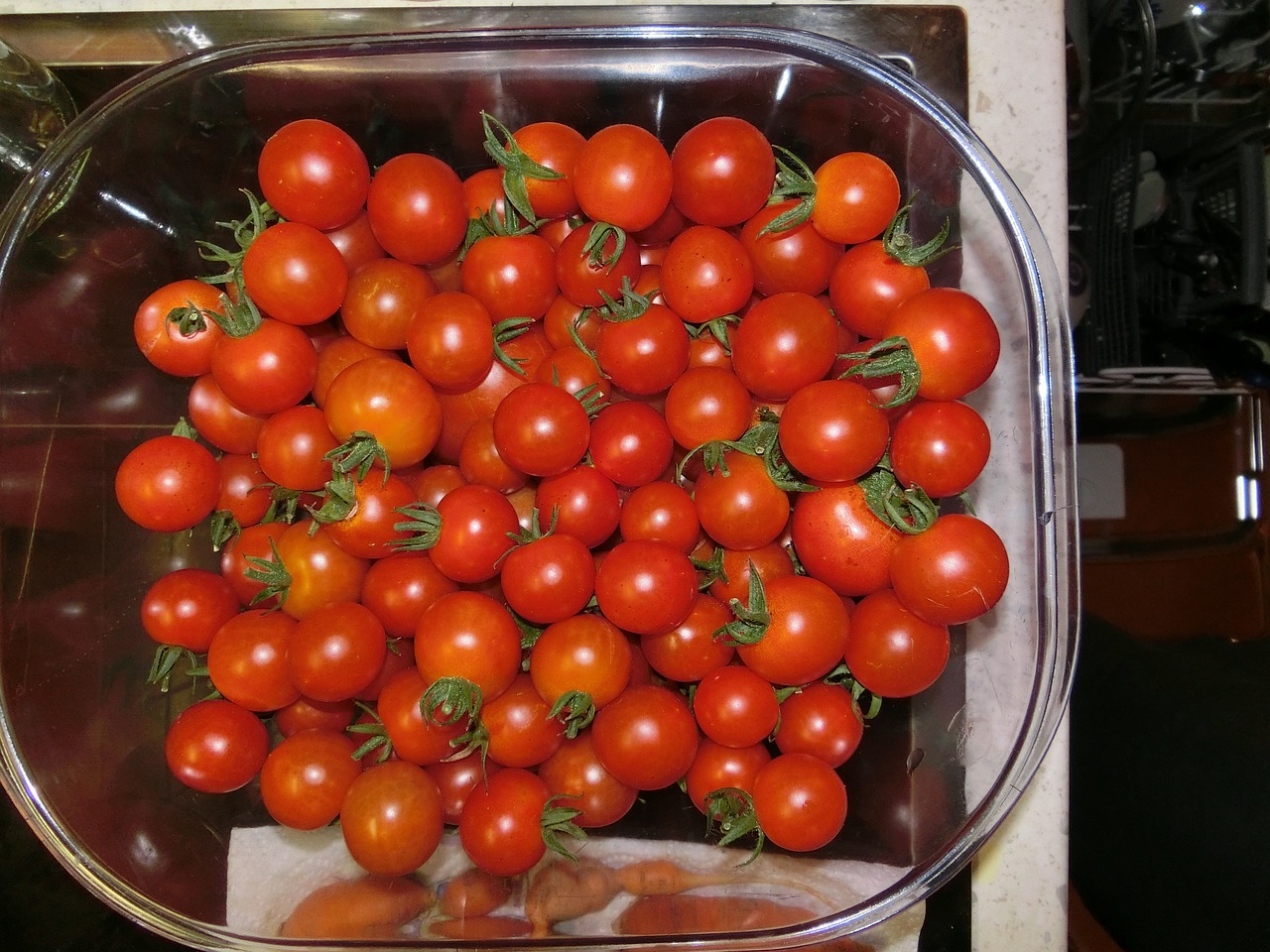 tomatoes vegetables salad free photo