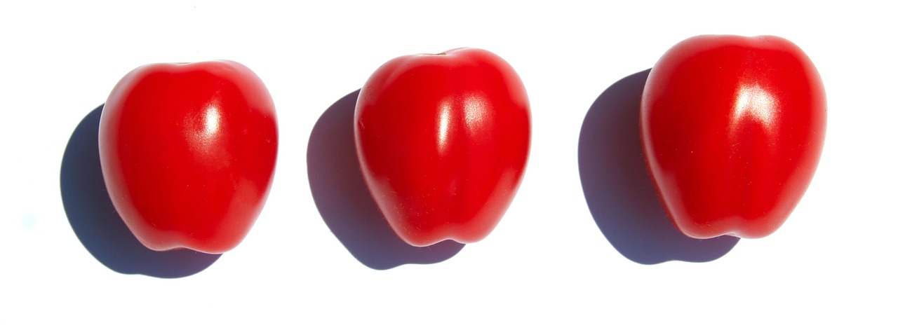 tomatoes align red free photo