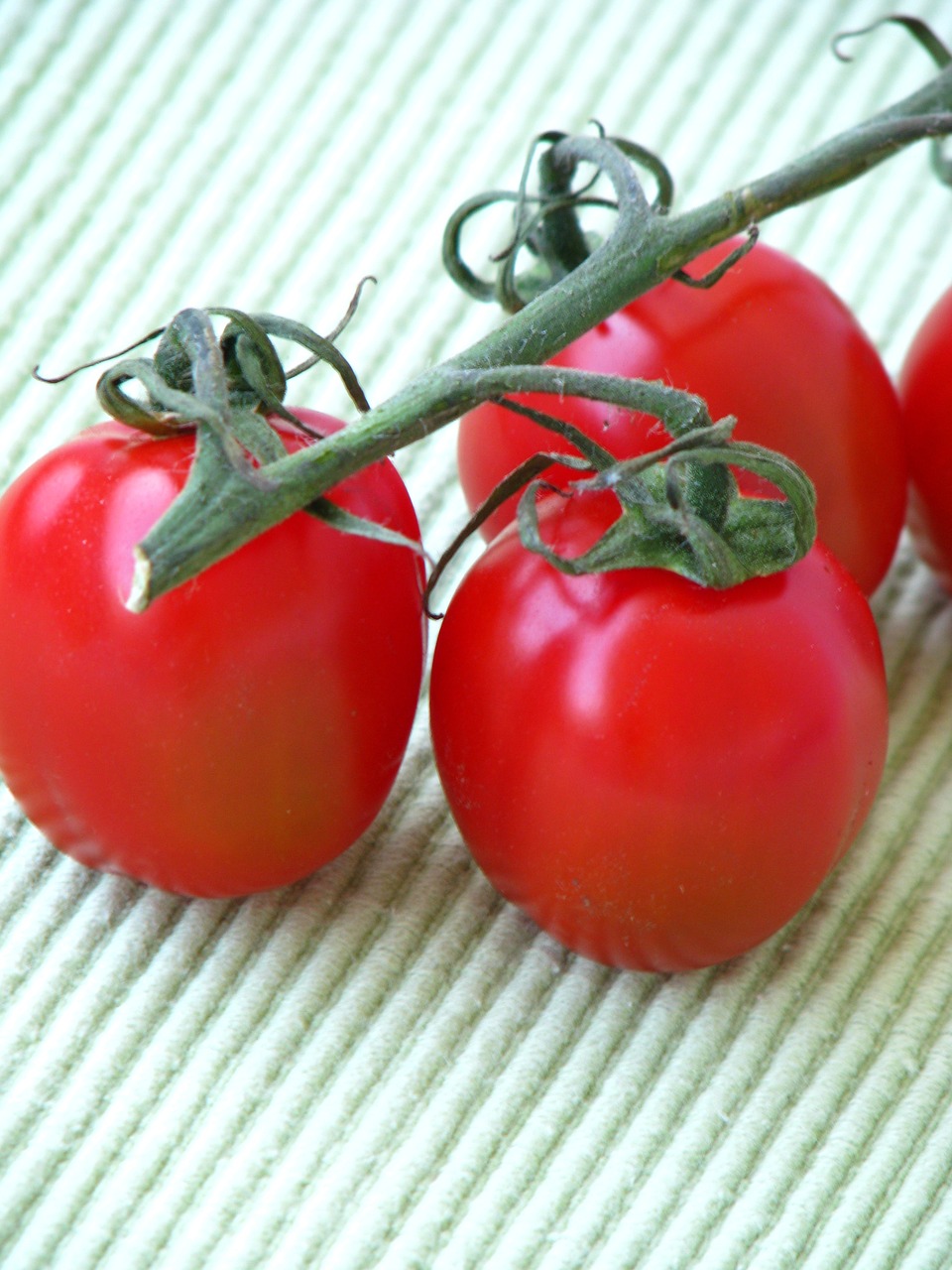tomatoes red vegetarian free photo