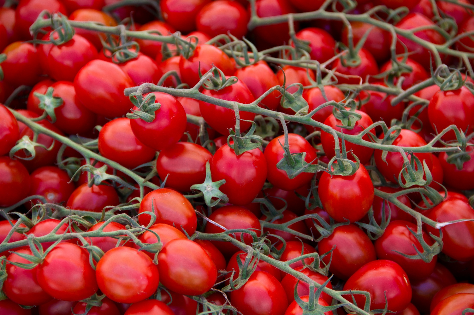 tomato vegetable farmer's market free photo