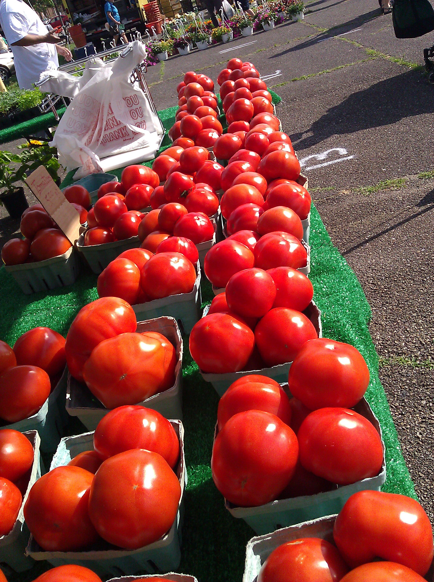 tomatoes farmers market free photo