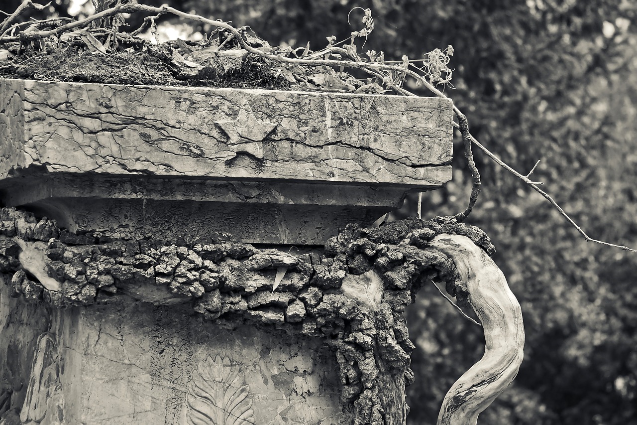 tombstone  grave  cemetery free photo