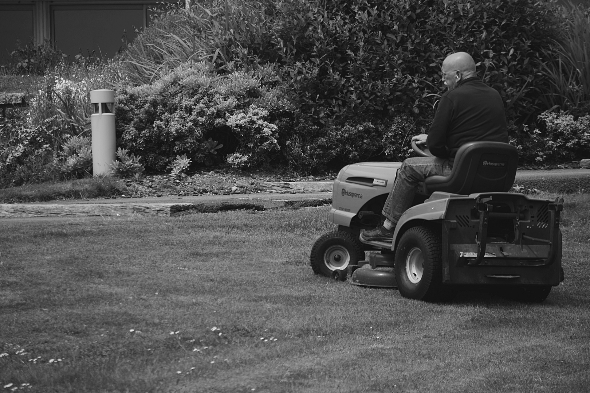 lawn mowing black white man free photo