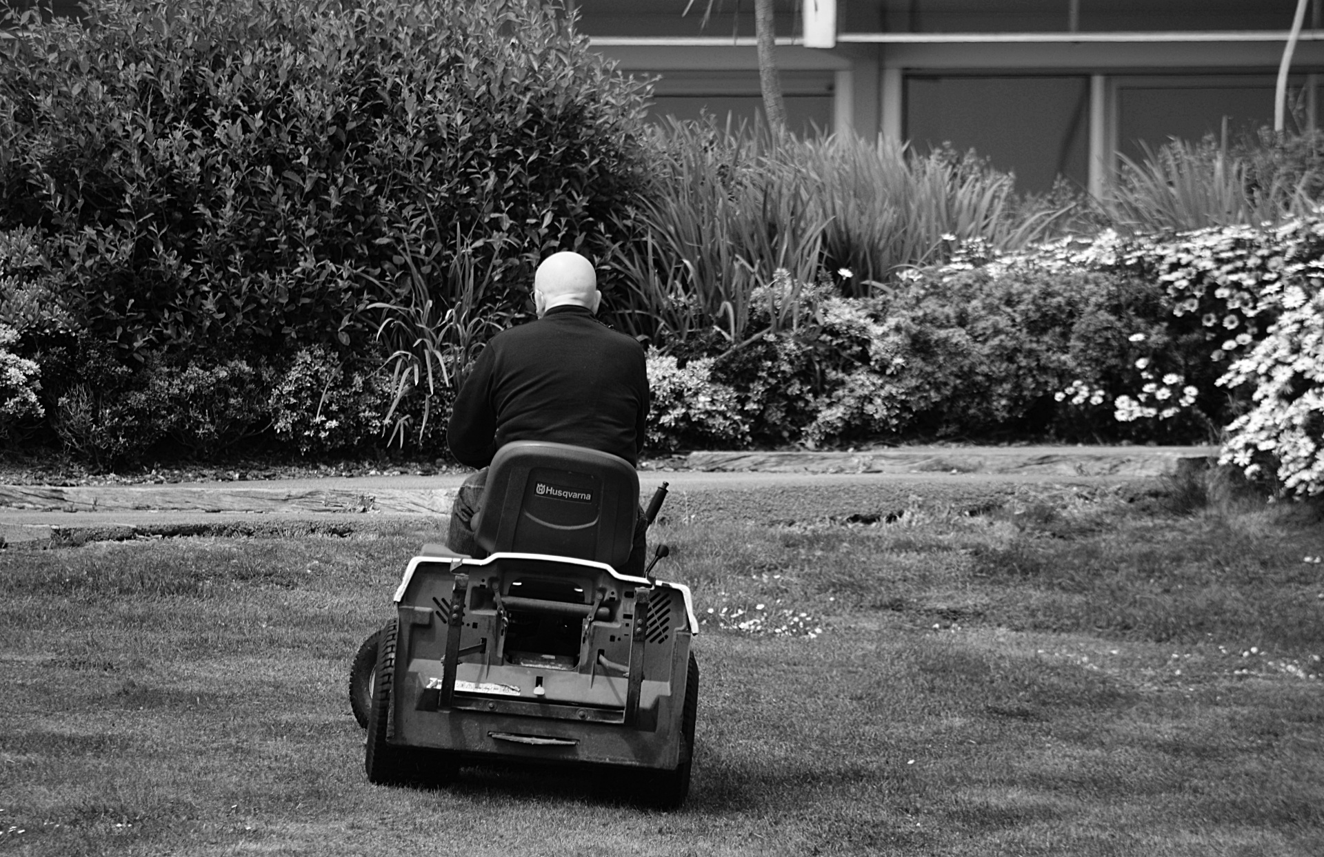 lawn mowing man worker free photo