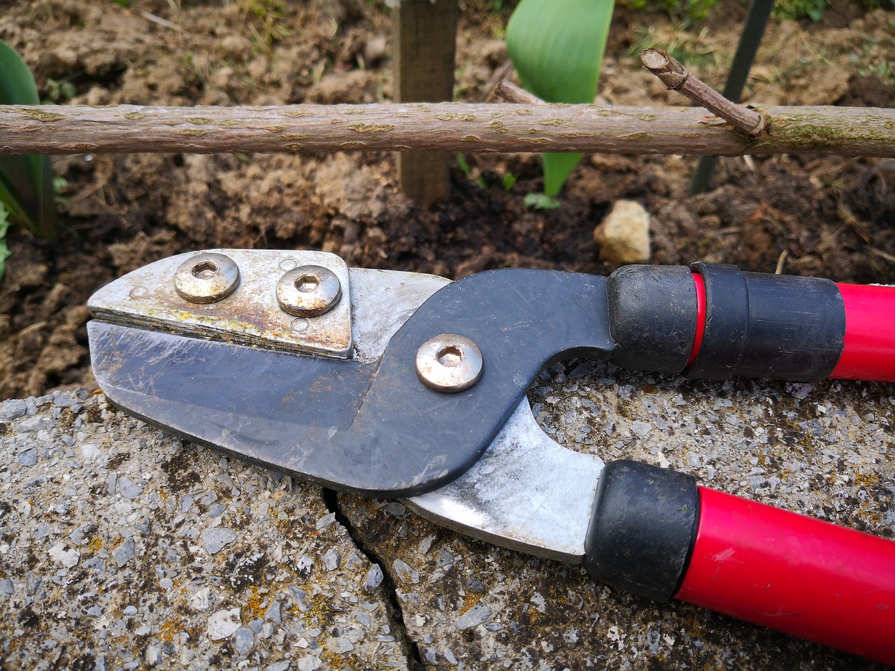 tool equipment wood free photo