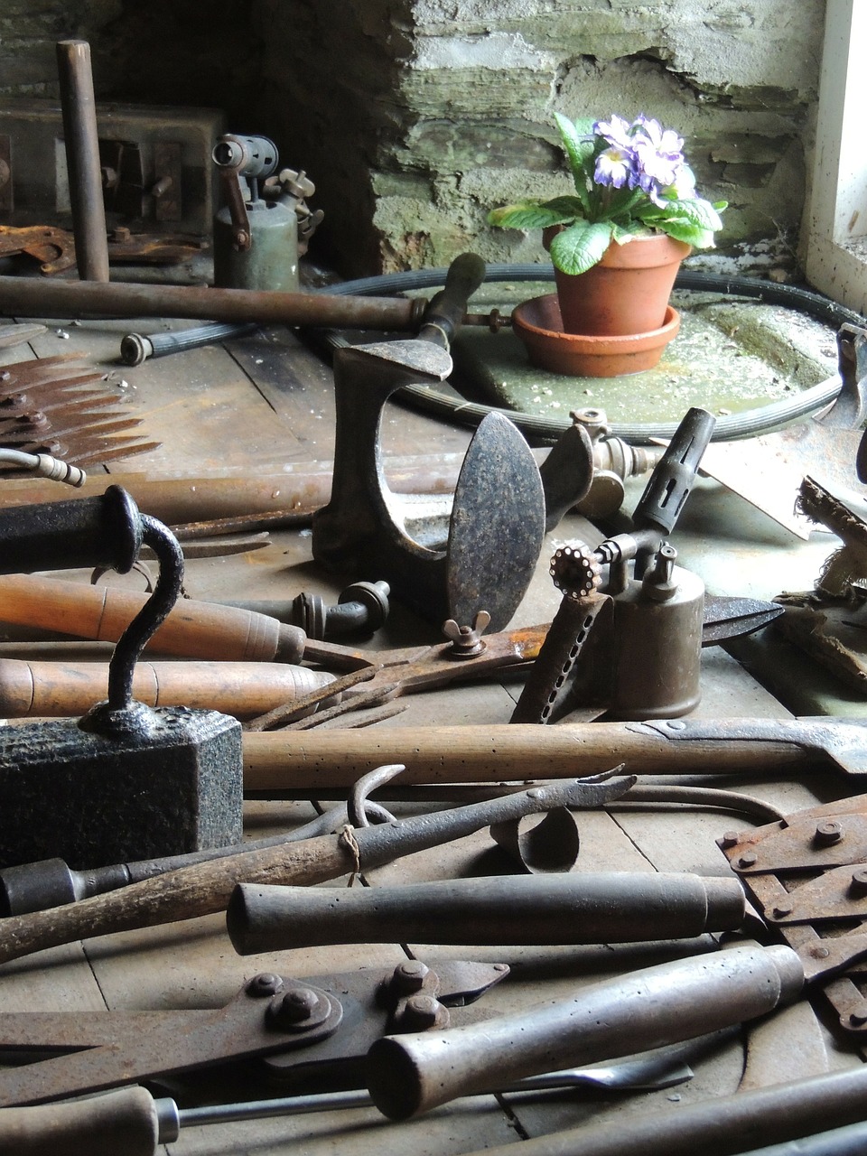 tools shed flower free photo