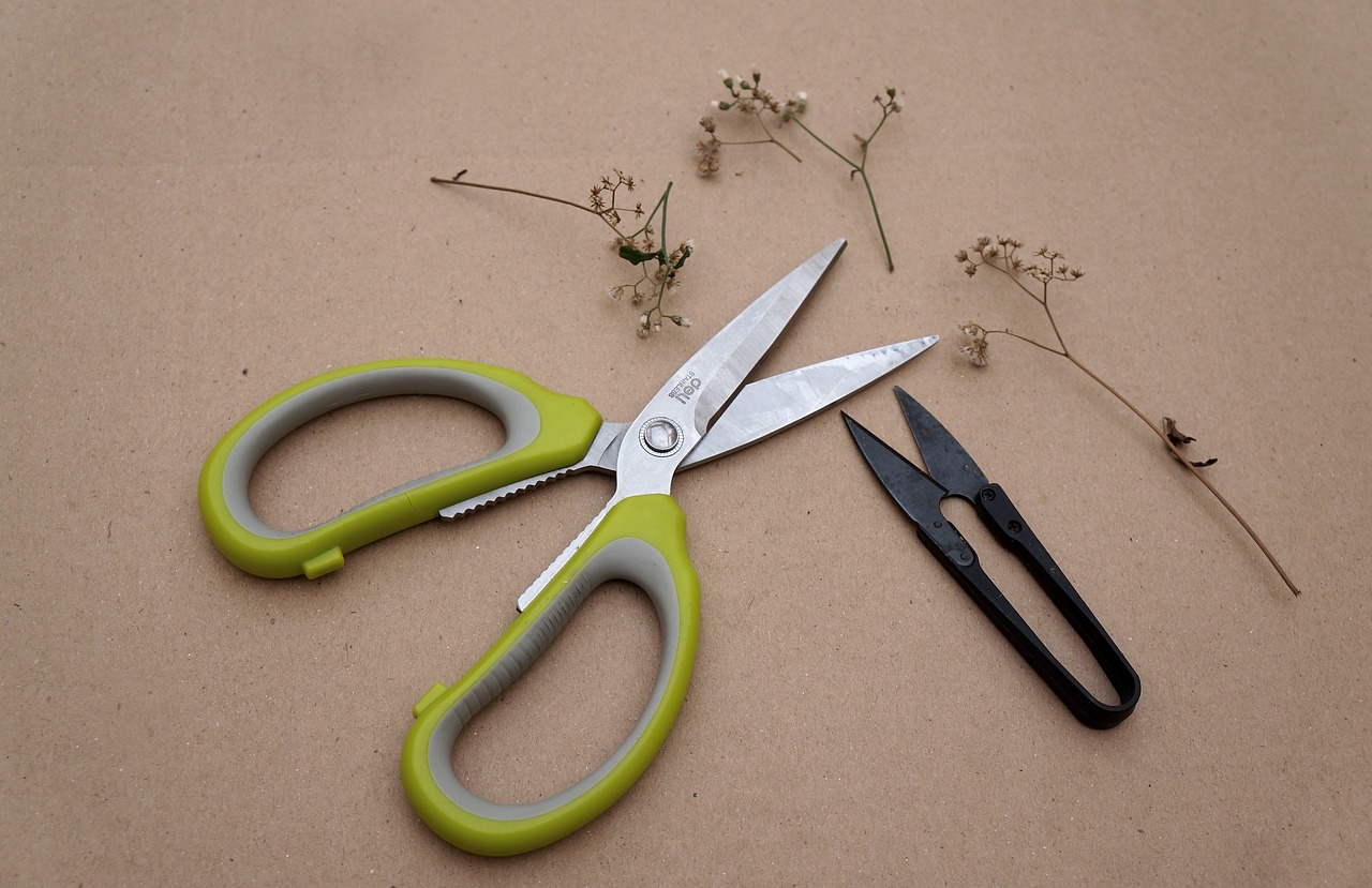 tools craft the scissors free photo