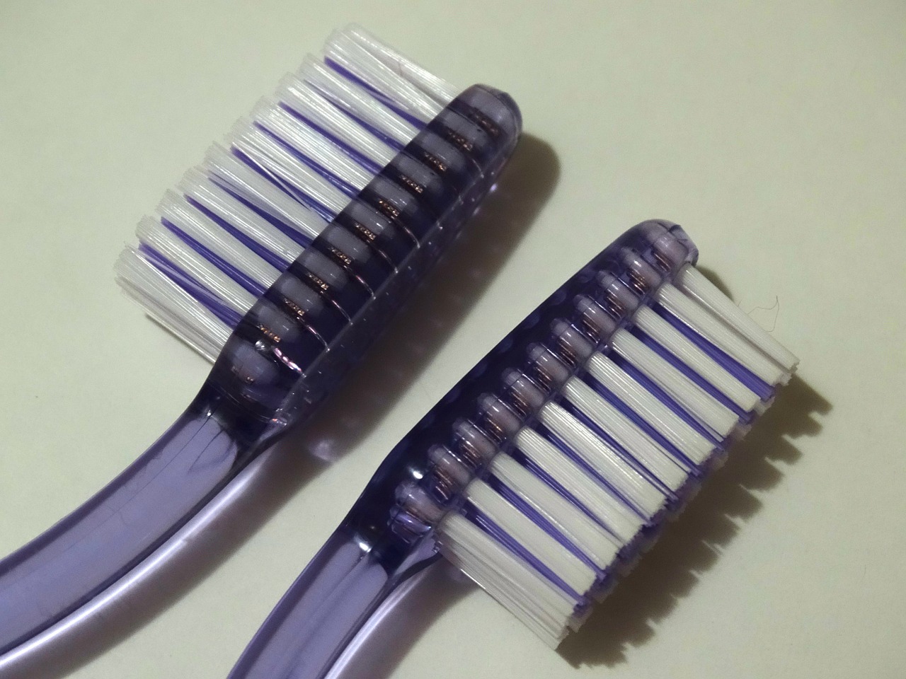 tooth brushes bristles dental care free photo