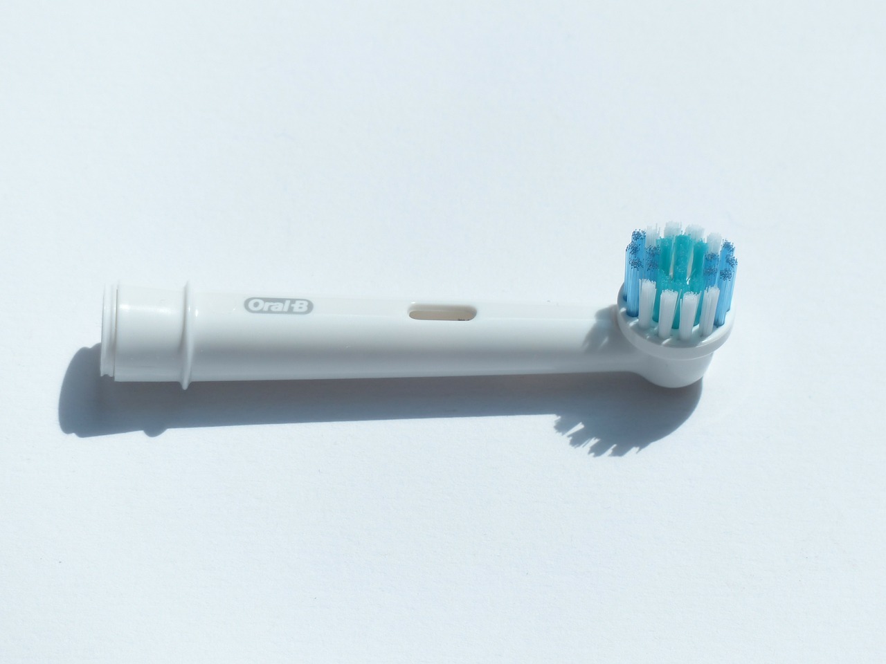 toothbrush dental care dentistry free photo