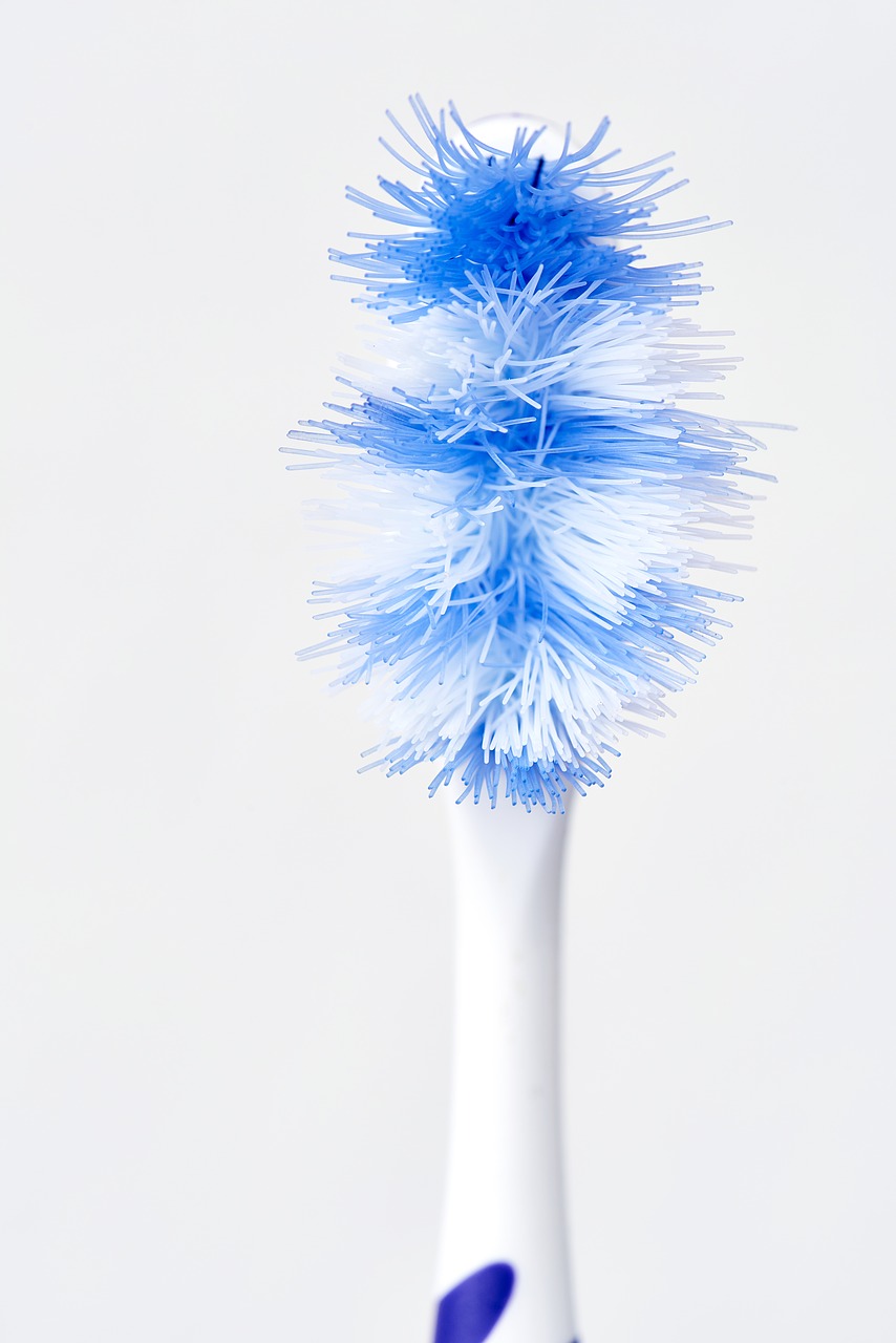 toothbrush head dental care free photo
