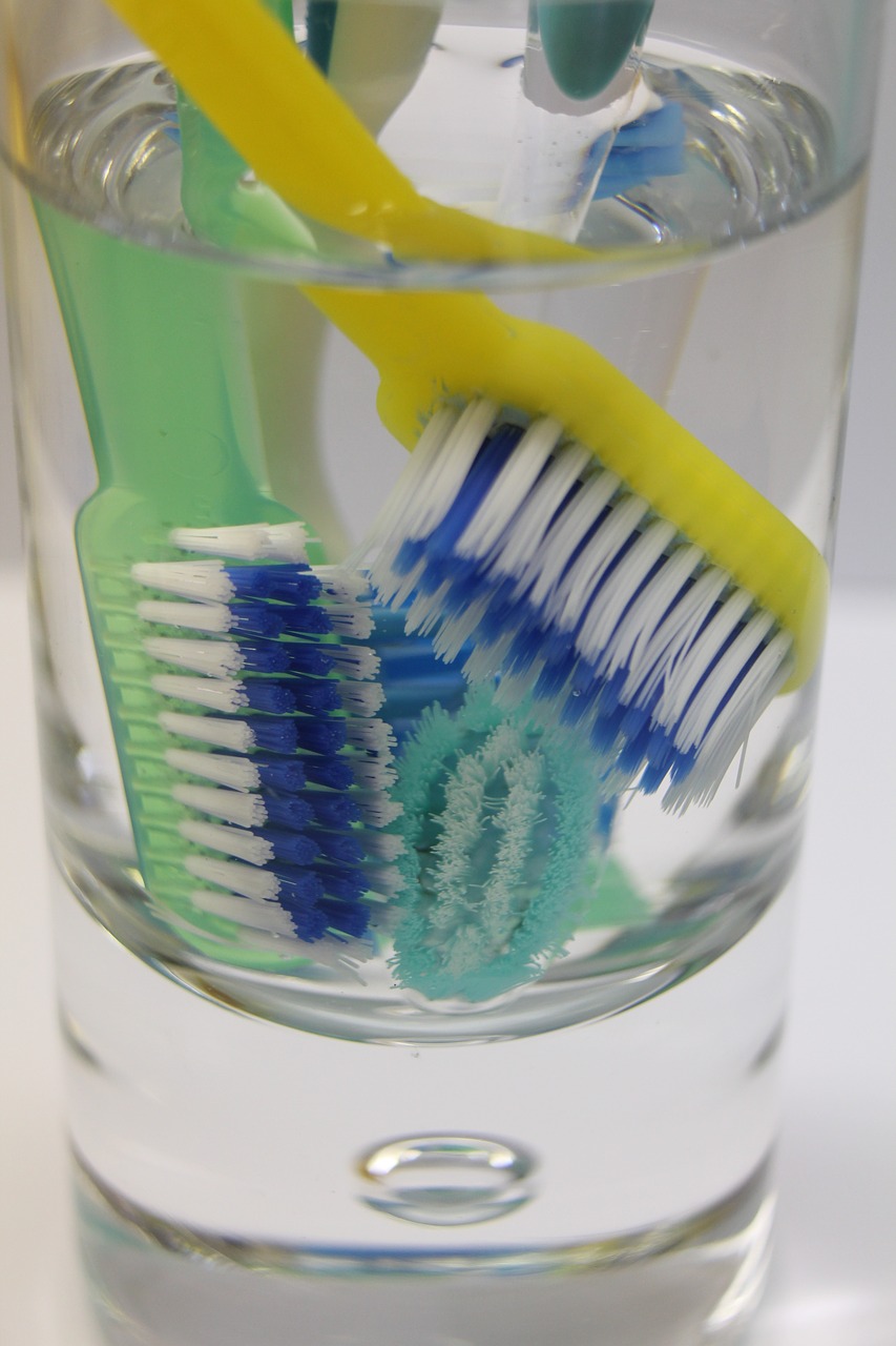 toothbrush oral dental free photo