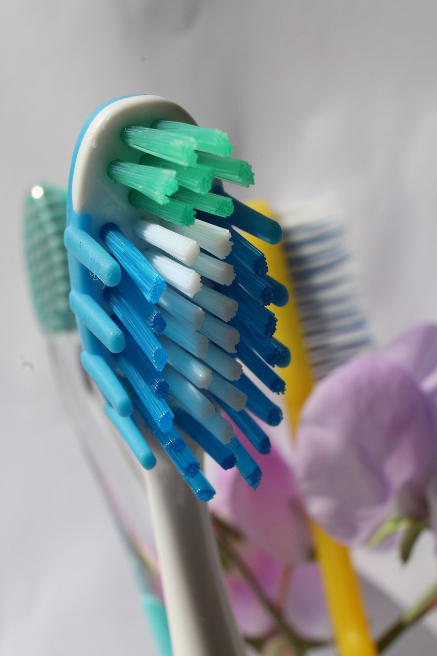 toothbrush oral dental free photo