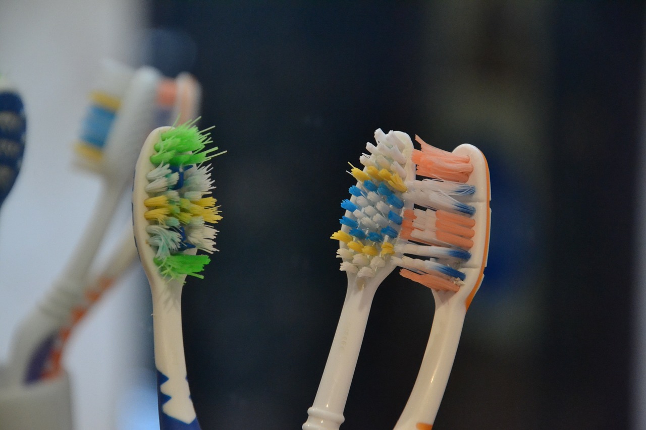 toothbrush brush brushes free photo