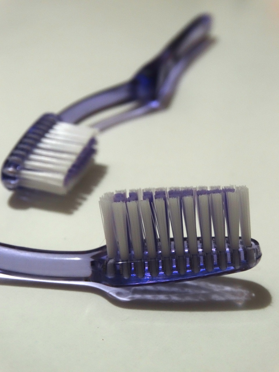 toothbrush bristles dental care free photo