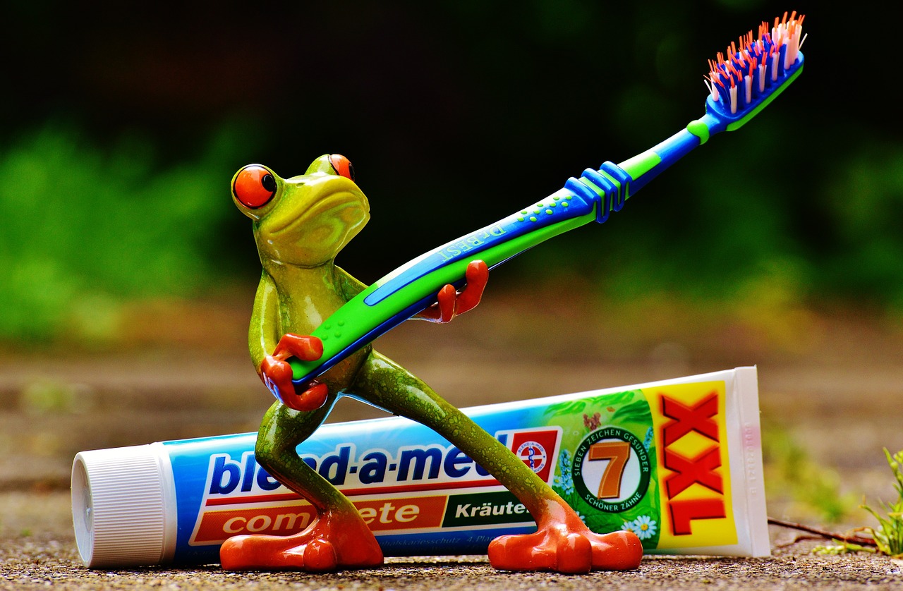 toothpaste frog toothbrush free photo