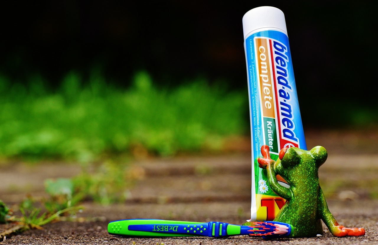 toothpaste frog toothbrush free photo