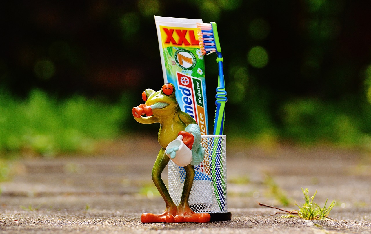 toothpaste frog toothbrush free photo