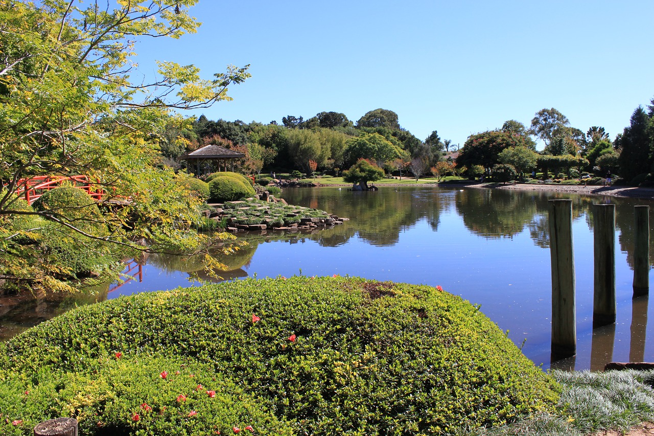 toowomba queensland japanese garden free photo