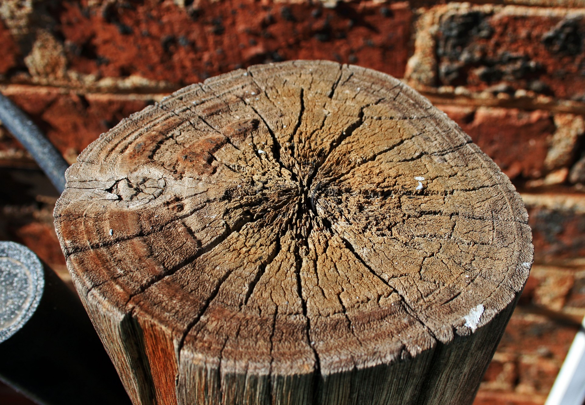 wood post cut free photo