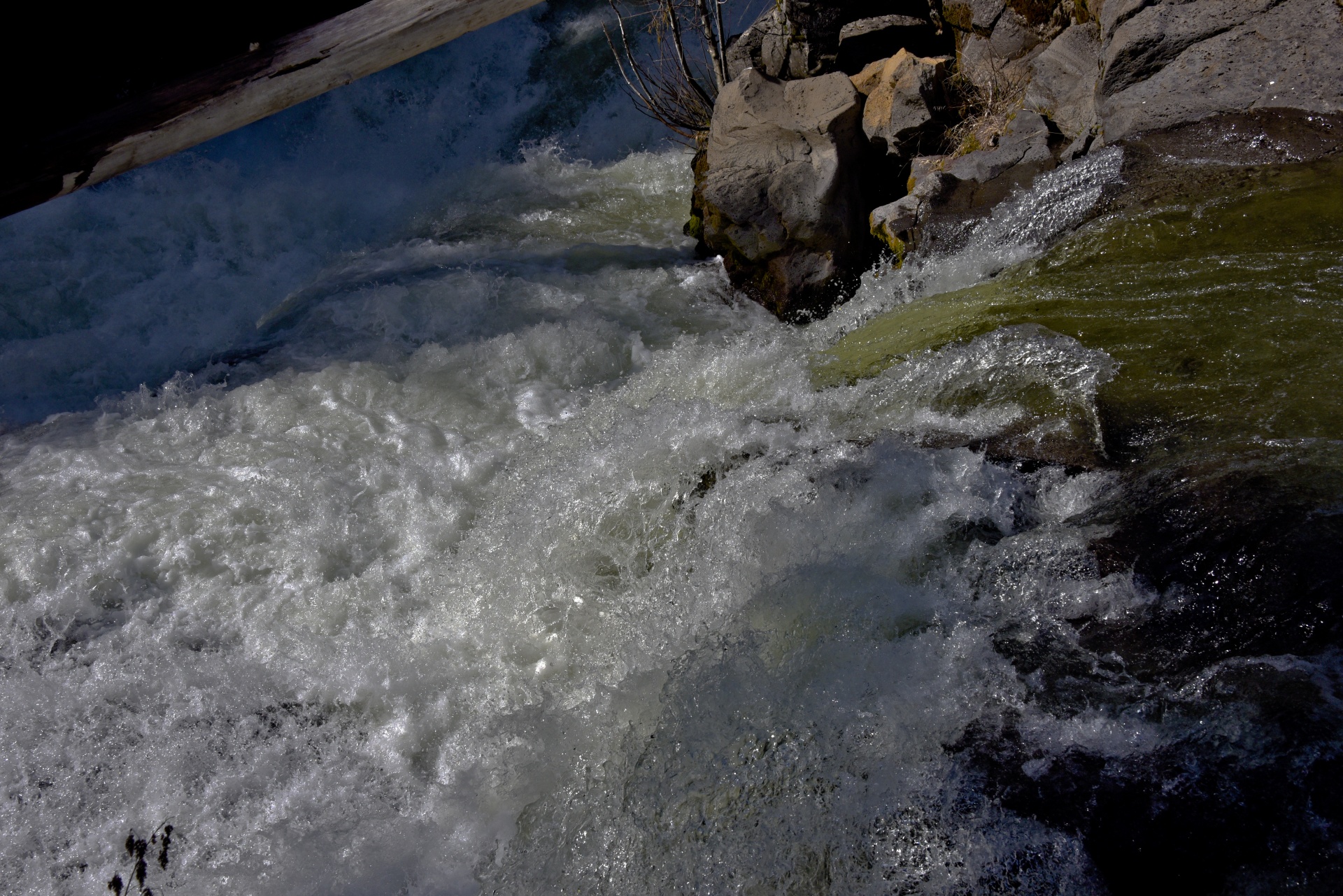 river rapids rapids green water free photo