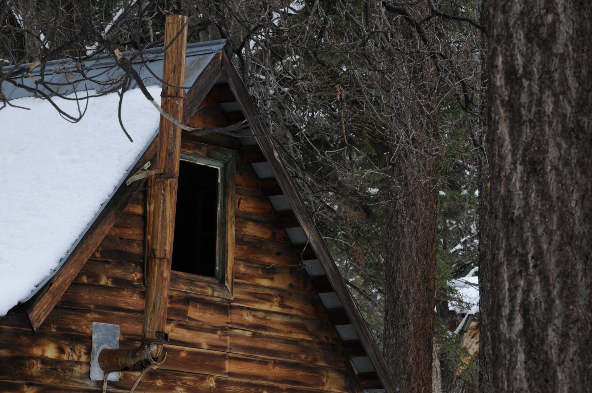 winter cabin white christmas free photo