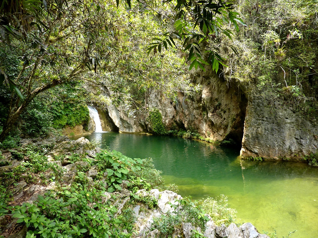 topes de collantes cuba caribbean free photo