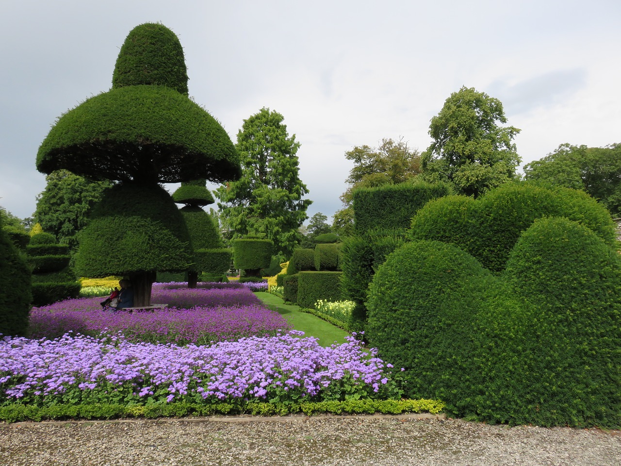 topiary hedge formal free photo