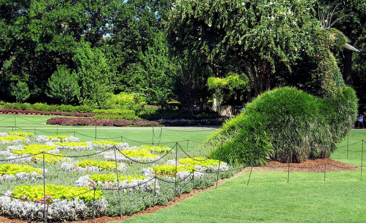 topiary peacock garden free photo