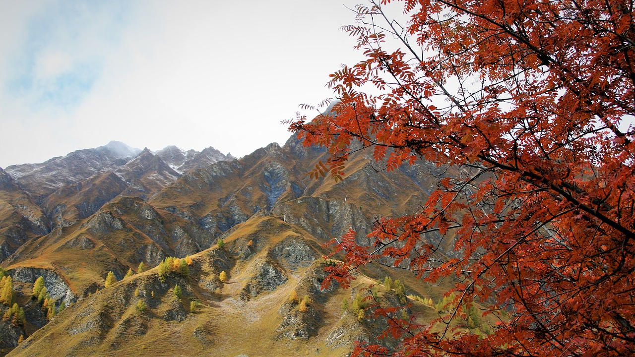 tops fall mountains tourism free photo