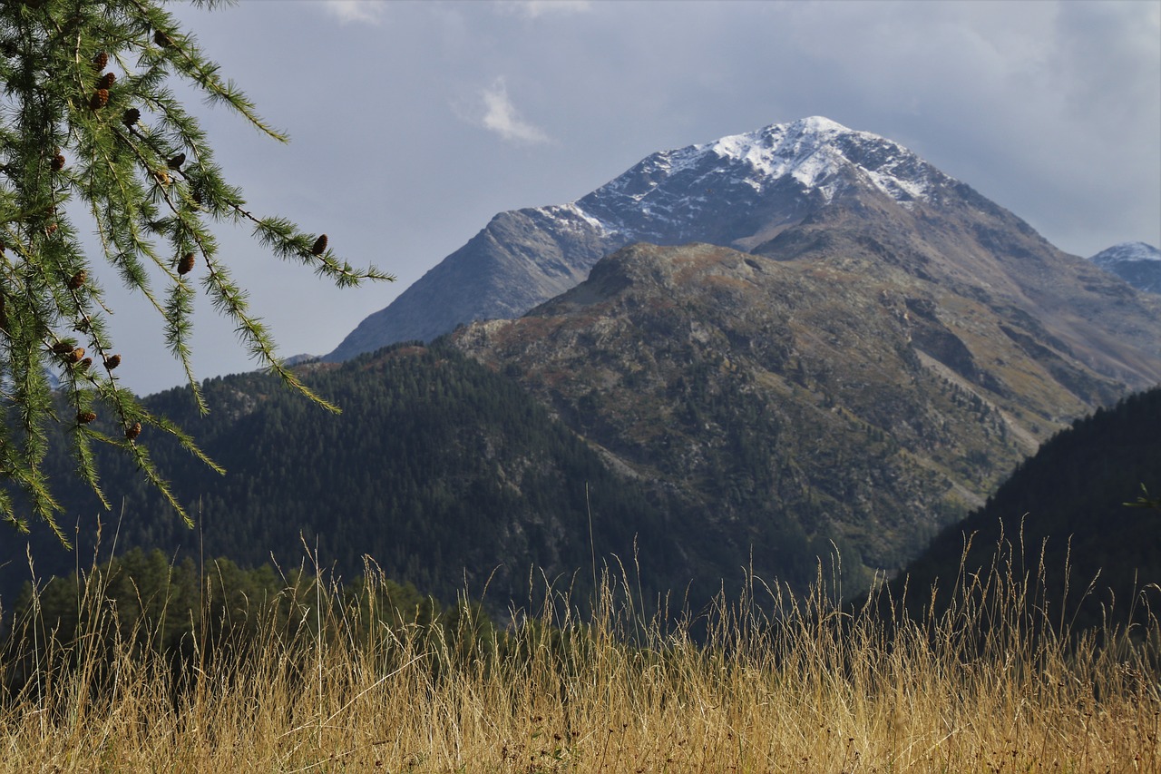 tops  dry grass  mountains free photo