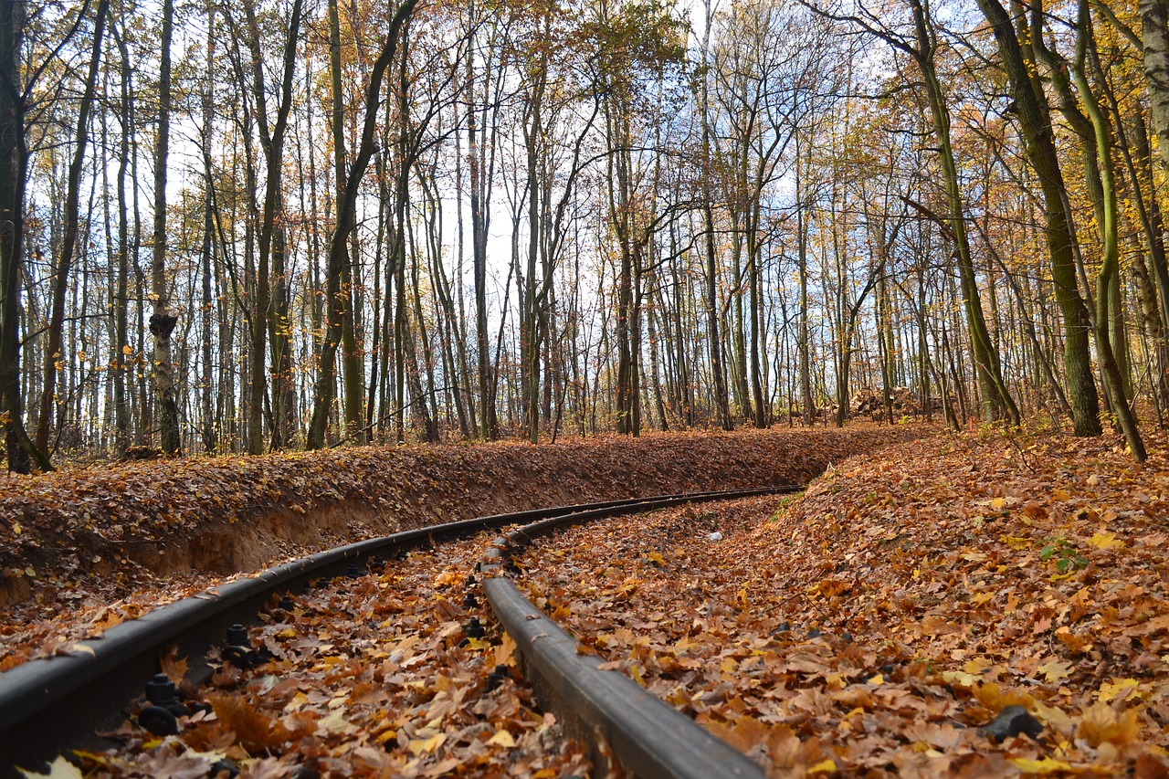tor  narrow-gauge track  autumn free photo
