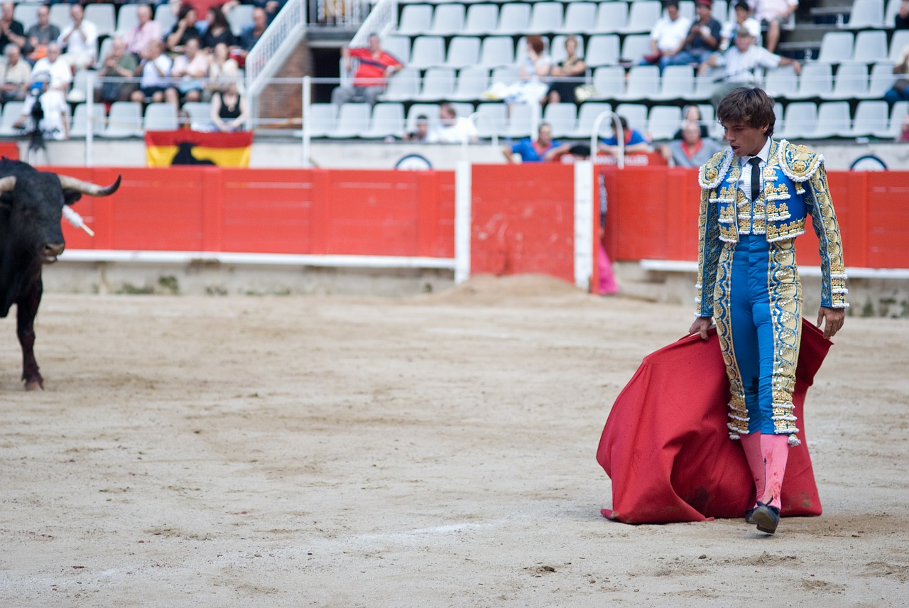 torero arena spanish free photo