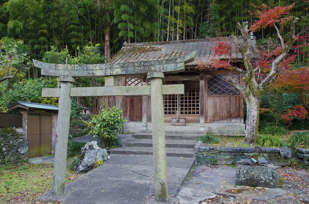 torii shrine japan free photo