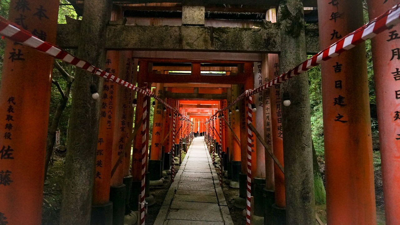 torii light dusky free photo