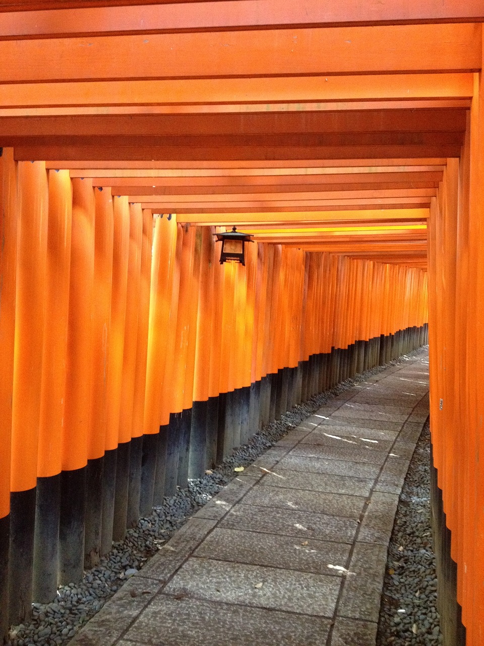 torii shrine japan free photo