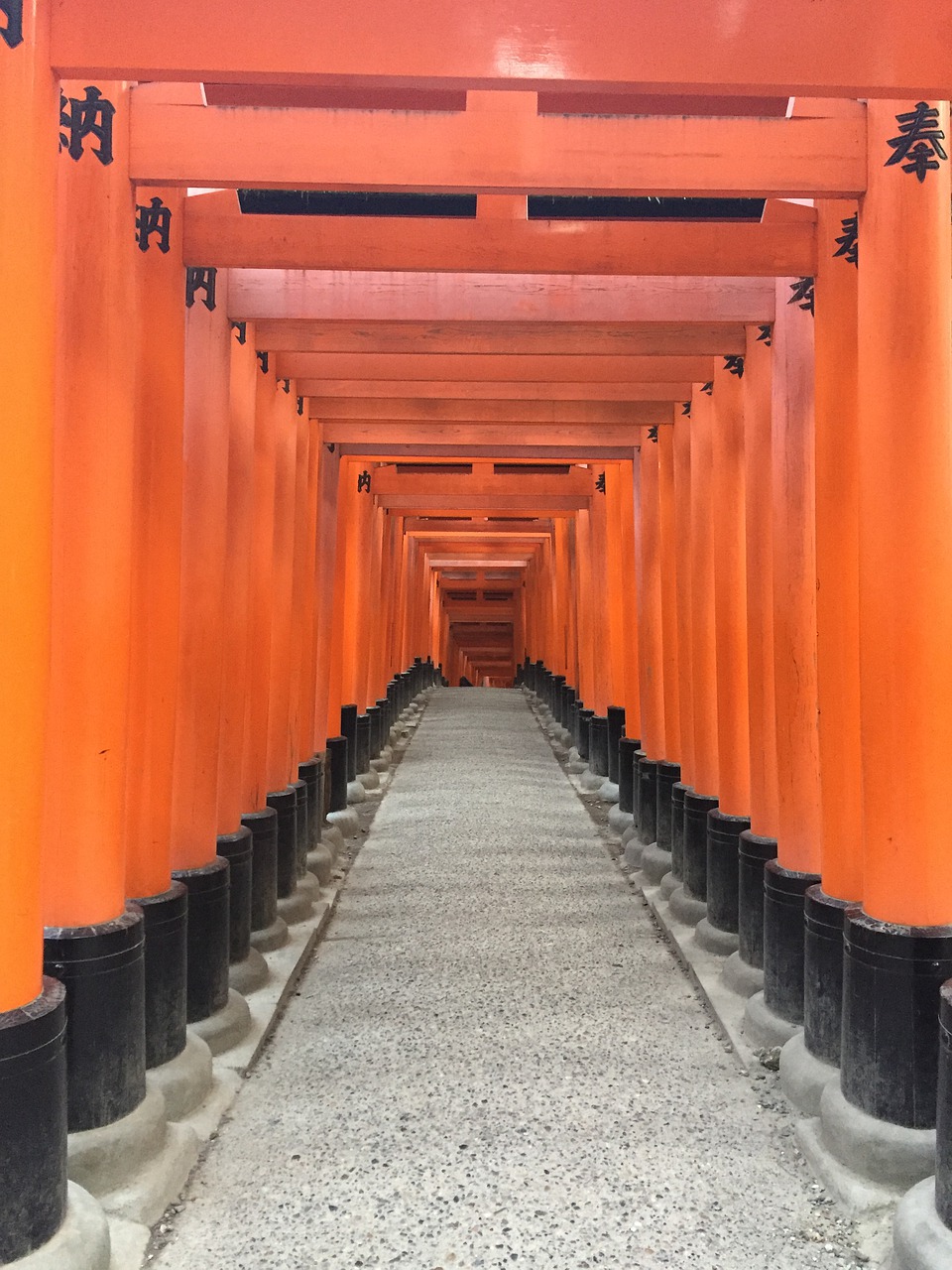 torii  gate  japan free photo