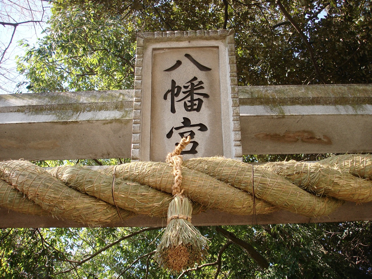 torii japan religion free photo