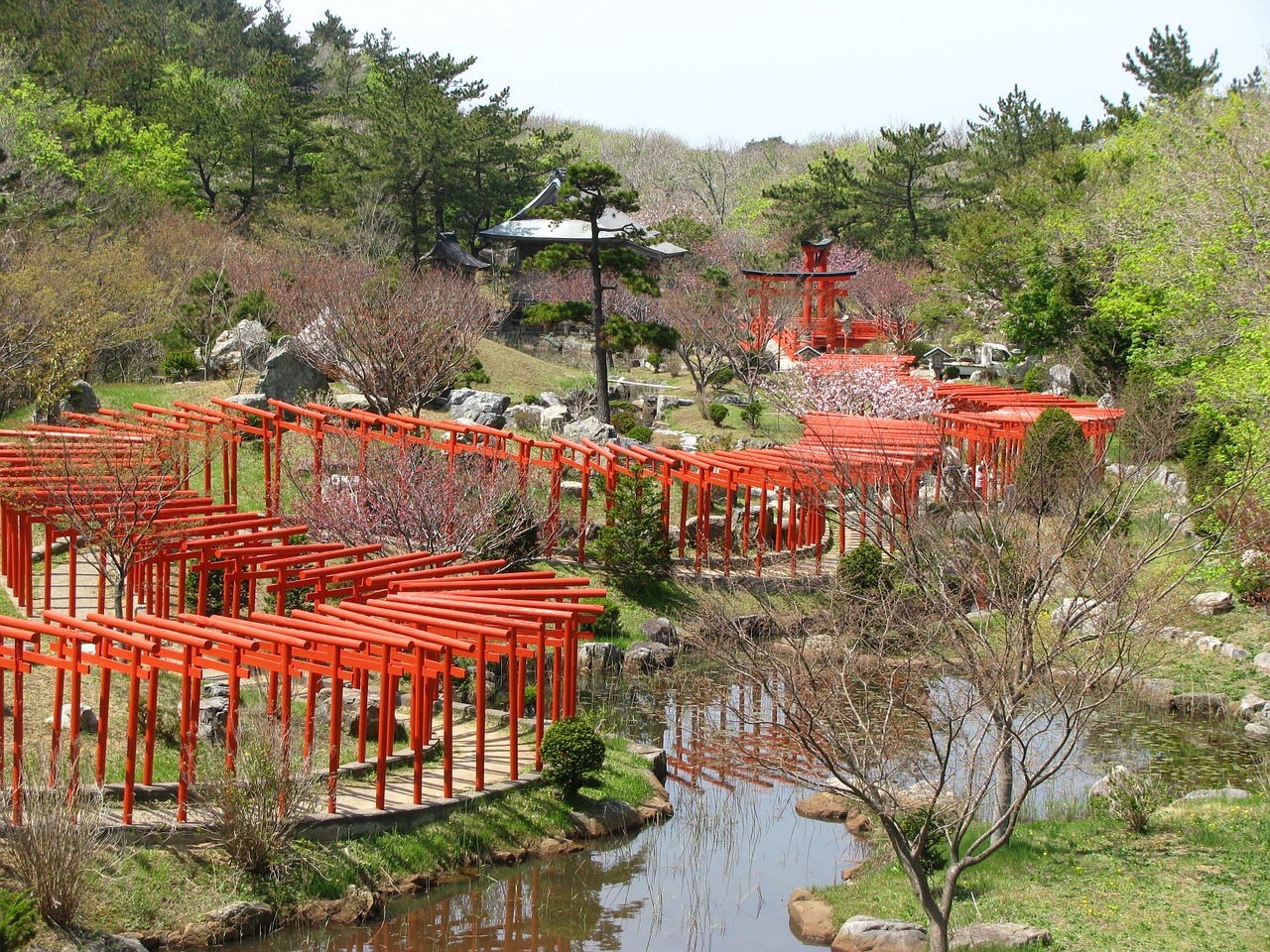 torii red shrine free photo