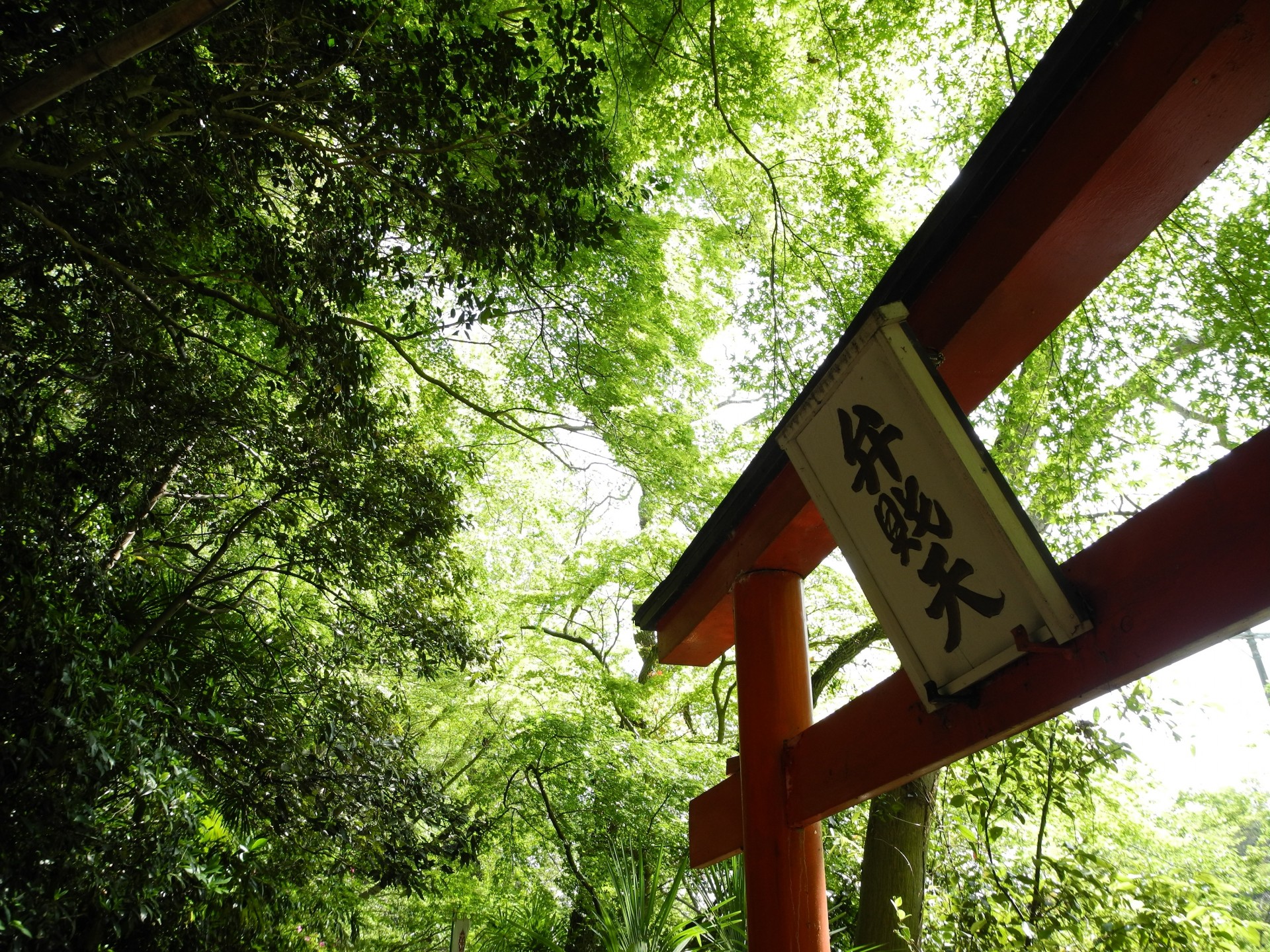 torii green japan free photo