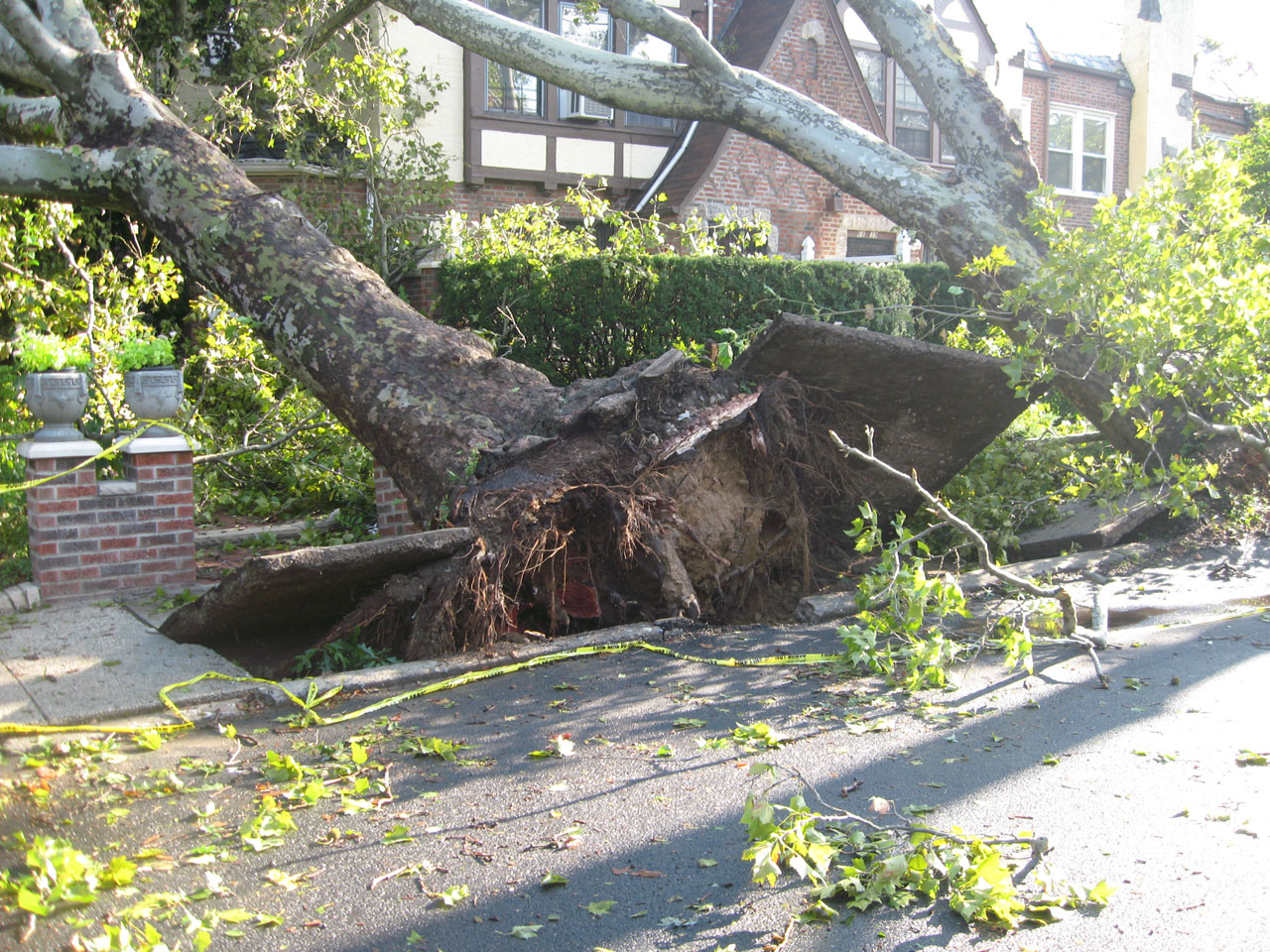 tornado queens winds free photo