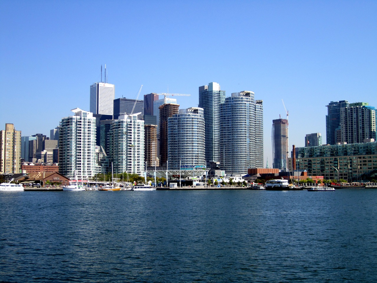 toronto skyline city free photo