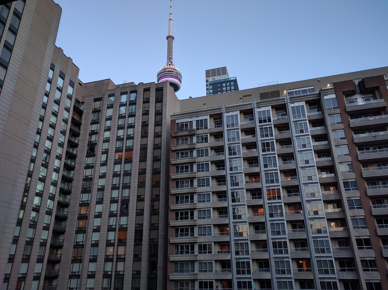 toronto building downtown free photo